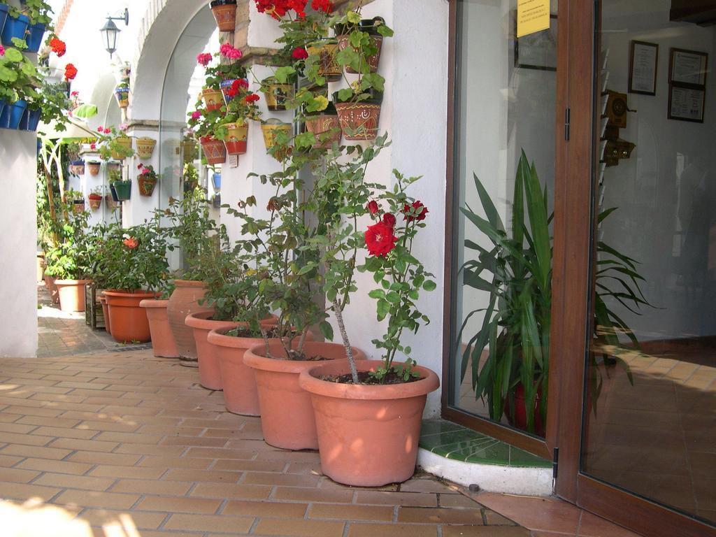 Hotel Cortijo Los Gallos Chiclana de la Frontera Exterior photo